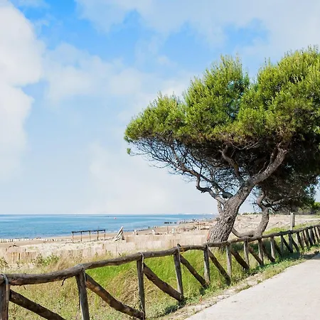 Cozy Flat With Spacious Terrace
